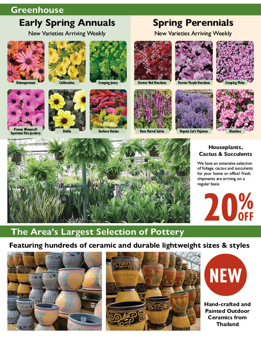 Print weekly specials stauffers of kissel hill