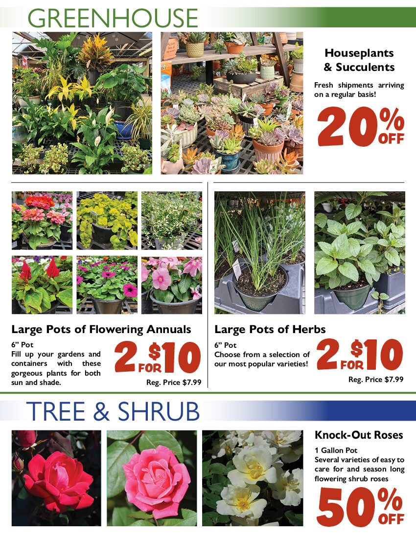 Print Weekly Specials Stauffers Of Kissel Hill