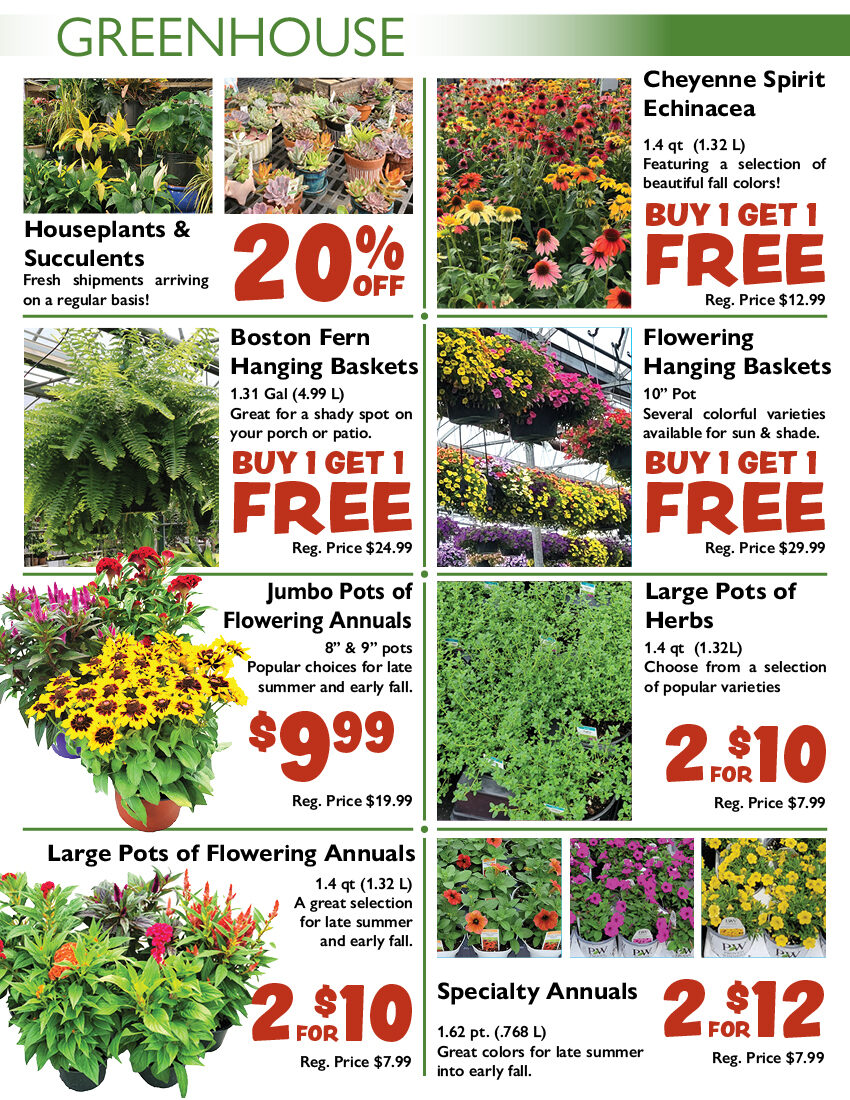 Stauffers Of Kissel Hill Weekly Flyer