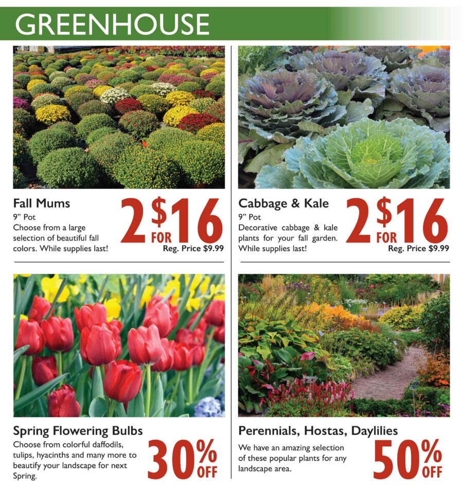 Print weekly specials stauffers of kissel hill